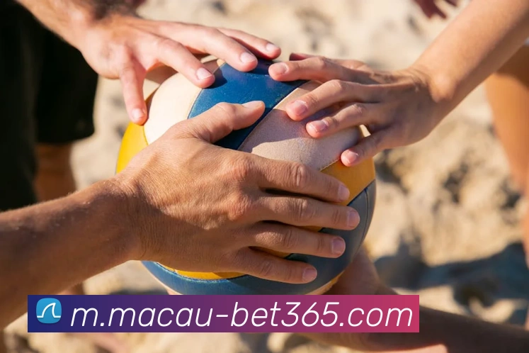 bet365平台生态图