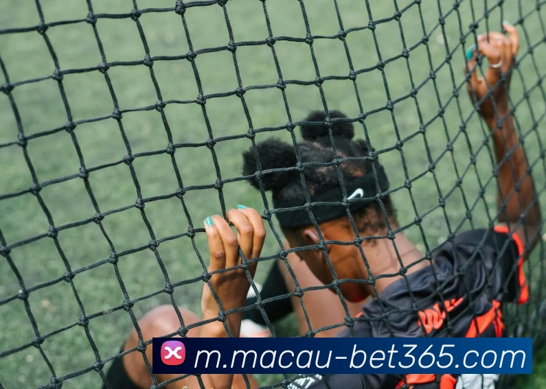 bet365全站App bet365全站App