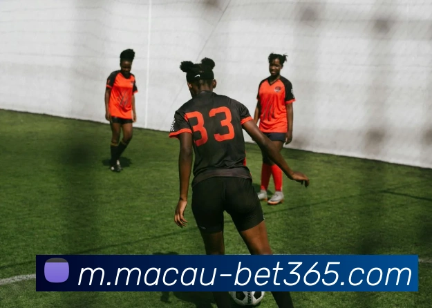 辅助工具 辅助工具